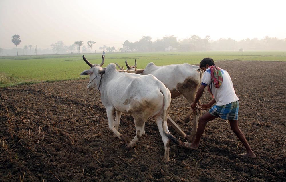 Farmer-First Philosophy